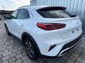 Kia XCeed City MY26 1.0 T-GDI  115 PS -6 Gang-Navi-SHZ-be... Weiß - thumbnail 2
