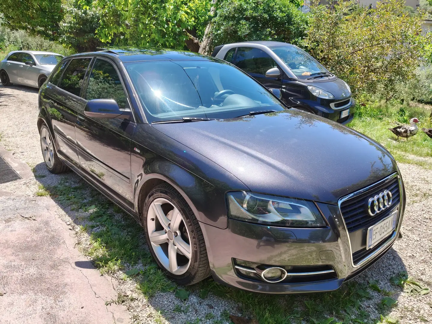Audi A3 Sportback 1.6 tdi Attraction - 2