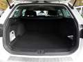 Volkswagen Passat Variant 1.5 TSI Business AHK LED ACC Blanc - thumbnail 10