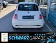 Fiat 500 Pop*KLIMA*ALLWETTER*TÜV-2027* Blanc - thumbnail 6