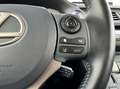 Lexus CT 200h 200h|Navi|NAP|Cruise Adaptief Grey - thumbnail 10