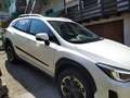 Subaru XV XV II 2021 1.6i Style Xtra lineartronic Bianco - thumbnail 7