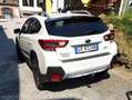 Subaru XV XV II 2021 1.6i Style Xtra lineartronic Bianco - thumbnail 5