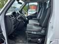 Renault Master T35 2.3 dCi 165 EURO VI AIRCO CRUISE TREKH 3500KG! Weiß - thumbnail 9
