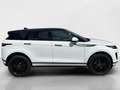 Land Rover Range Rover Evoque 2.0D I4-L.Flw 150 CV AWD Auto SE Bianco - thumbnail 3