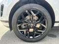 Land Rover Range Rover Evoque 2.0D I4-L.Flw 150 CV AWD Auto SE Bianco - thumbnail 6