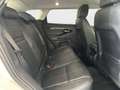 Land Rover Range Rover Evoque 2.0D I4-L.Flw 150 CV AWD Auto SE Bianco - thumbnail 8
