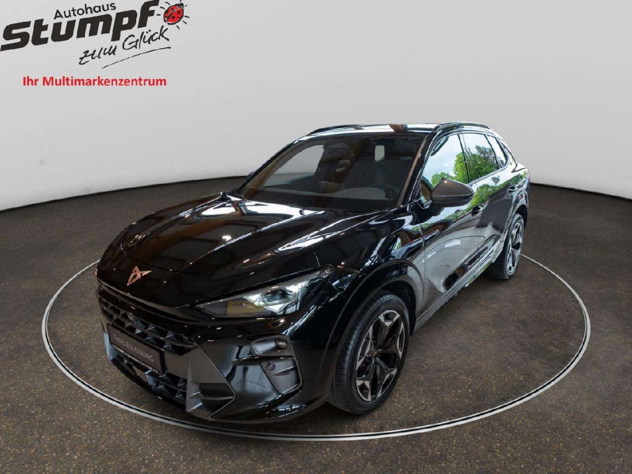Cupra Terramar occasion