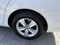 Skoda Superb Combi 2.0TDI AdBlue Active 110kW Blanc - thumbnail 11