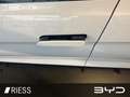 BYD Seal Design Nur für Gewerbetreibende Wit - thumbnail 8