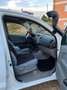 Toyota Hilux 4x4 Double Cab Life HU/AU 10.2026 Weiß - thumbnail 14