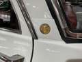 Alfa Romeo Giulia SUPER 1600 BOLLINO ORO -TARGA ORO ASI Blanc - thumbnail 11