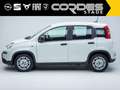 Fiat Panda Pandina City Paket, Sonderleasing 99 € bei Inzahlu Weiß - thumbnail 3