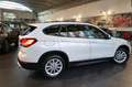 BMW X1 sDrive20d Business Advan. AUTO. - TELECAMERA/APPLE Bianco - thumbnail 10