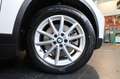 BMW X1 sDrive20d Business Advan. AUTO. - TELECAMERA/APPLE Bianco - thumbnail 6