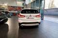 BMW X1 sDrive20d Business Advan. AUTO. - TELECAMERA/APPLE Bianco - thumbnail 8