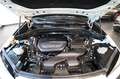 BMW X1 sDrive20d Business Advan. AUTO. - TELECAMERA/APPLE Bianco - thumbnail 11