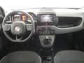 Fiat Panda Panda III 2021 1.2 easypower Gpl s Blanco - thumbnail 13