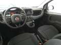 Fiat Panda Panda III 2021 1.2 easypower Gpl s Blanco - thumbnail 11
