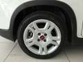 Fiat Panda Panda III 2021 1.2 easypower Gpl s Blanco - thumbnail 4