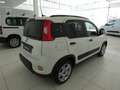 Fiat Panda Panda III 2021 1.2 easypower Gpl s Blanco - thumbnail 6