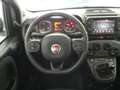 Fiat Panda Panda III 2021 1.2 easypower Gpl s Blanco - thumbnail 12