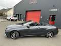 Mercedes-Benz E 220 220 E220 Fascination Cab 2.2 CDI 170 2016 - thumbnail 10
