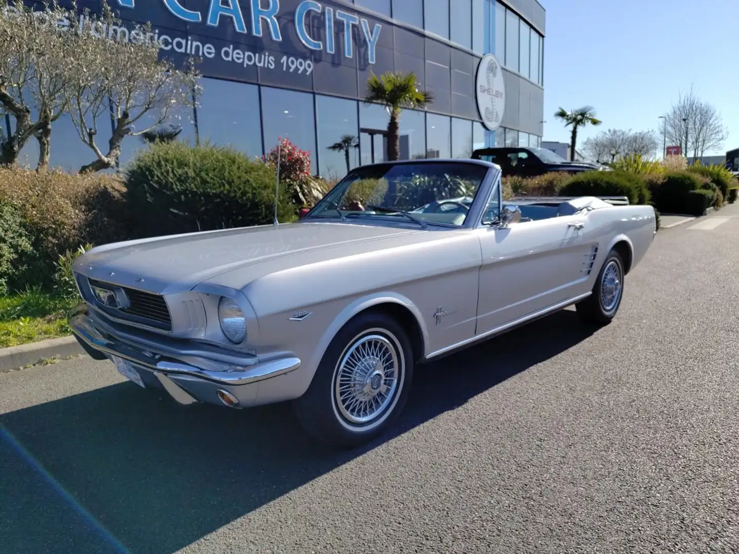 Ford Mustang Code C, sellerie Pony Gris - 1