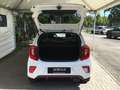 Kia Picanto 1.2 GT-Line/Leder/Navi/Shz/Android Bianco - thumbnail 9