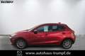 Mazda 2 90 PS "EDITION100" Leder + Matrix-LED Rot - thumbnail 1