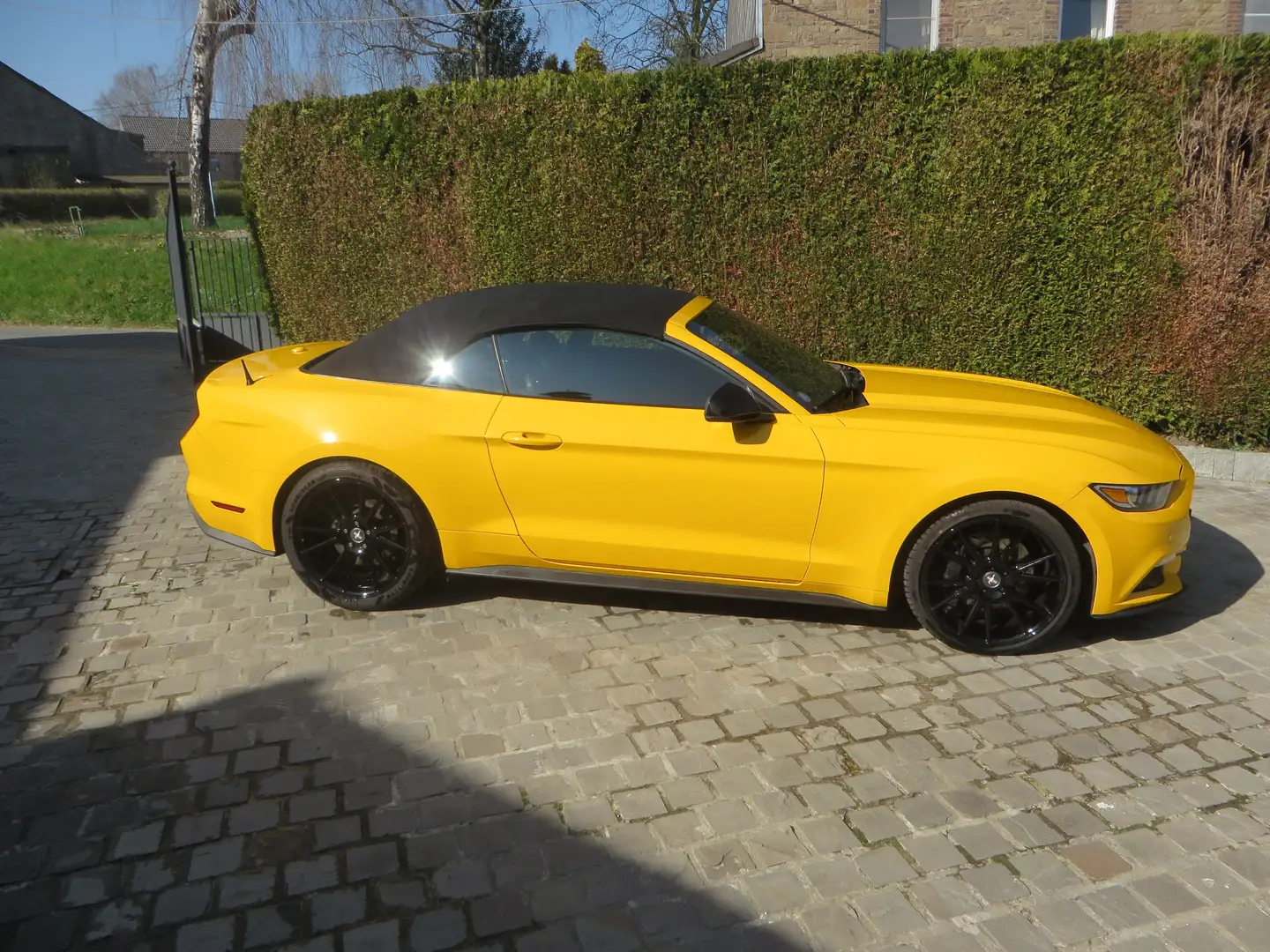 Ford Mustang Mustang Convertible 2.3 EcoBoost Geel - 1