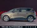Renault Scenic Limited Navigations-Paket Komfort-Paket S Beige - thumbnail 6
