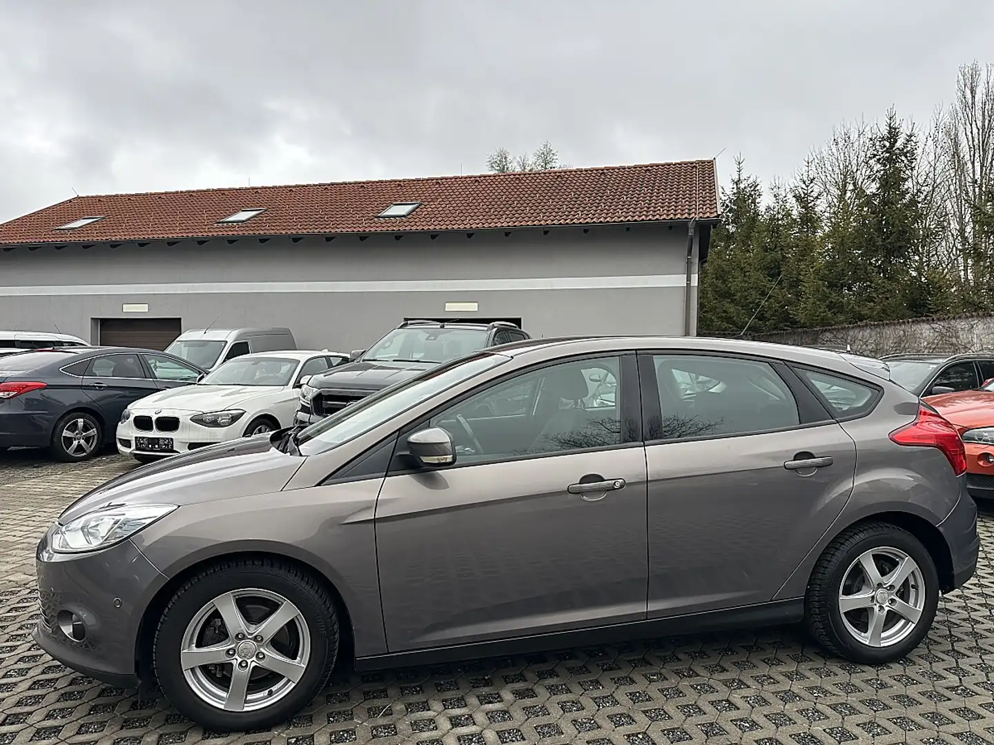 Ford Focus Easy 1,0 EcoBoost Braun - 2
