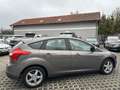 Ford Focus Easy 1,0 EcoBoost Braun - thumbnail 6