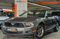 Ford Mustang Cabrio*AUTOMATIK*NUR 77TKM*LEDER* Grau - thumbnail 2