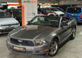 Ford Mustang Cabrio*AUTOMATIK*NUR 77TKM*LEDER* Grau - thumbnail 4