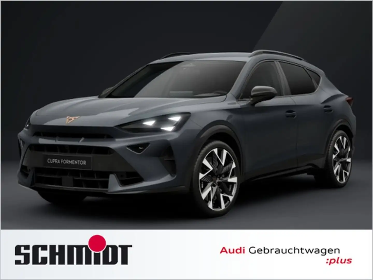 CUPRA Formentor 2.0 TSI 4Drive VZ AHK Navi ACC Kamera LM19 SHZ Grau - 1
