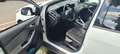 Ford Focus Focus Trend 1,6Ti-VCT Trend Weiß - thumbnail 8