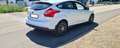 Ford Focus Focus Trend 1,6Ti-VCT Trend Weiß - thumbnail 4