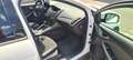 Ford Focus Focus Trend 1,6Ti-VCT Trend Weiß - thumbnail 9