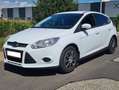 Ford Focus Focus Trend 1,6Ti-VCT Trend Weiß - thumbnail 2