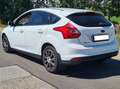 Ford Focus Focus Trend 1,6Ti-VCT Trend Weiß - thumbnail 5