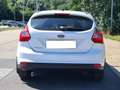 Ford Focus Focus Trend 1,6Ti-VCT Trend Weiß - thumbnail 6