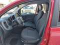 Fiat Panda 1.0 70cv E6D Hybrid CROSS - PREZZO SENZA VINCOLI Rosso - thumbnail 3