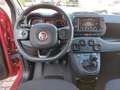 Fiat Panda 1.0 70cv E6D Hybrid CROSS - PREZZO SENZA VINCOLI Rosso - thumbnail 8