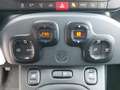 Fiat Panda 1.0 70cv E6D Hybrid CROSS - PREZZO SENZA VINCOLI Rosso - thumbnail 9