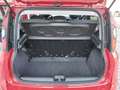 Fiat Panda 1.0 70cv E6D Hybrid CROSS - PREZZO SENZA VINCOLI Rosso - thumbnail 7