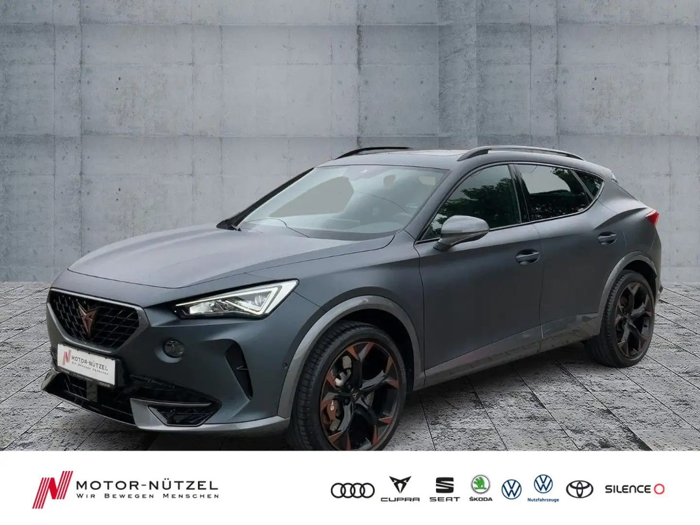 CUPRA Formentor 2.0 TFSI DSG 4DRIVE LED+NAVI+AHK+PANO Grau - 1
