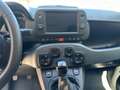 Fiat Panda Panda Cross 1.0 FireFly S&S Hybrid Rosso - thumbnail 12