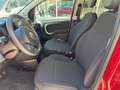 Fiat Panda Panda Cross 1.0 FireFly S&S Hybrid Rosso - thumbnail 14